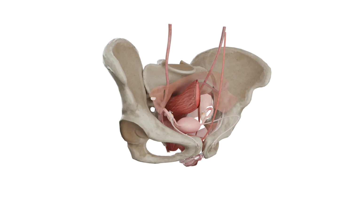 Ресейлік футболшылардың әйелдерінің эротикасы Егде жастағы әйелдермен жыныстық қатынас